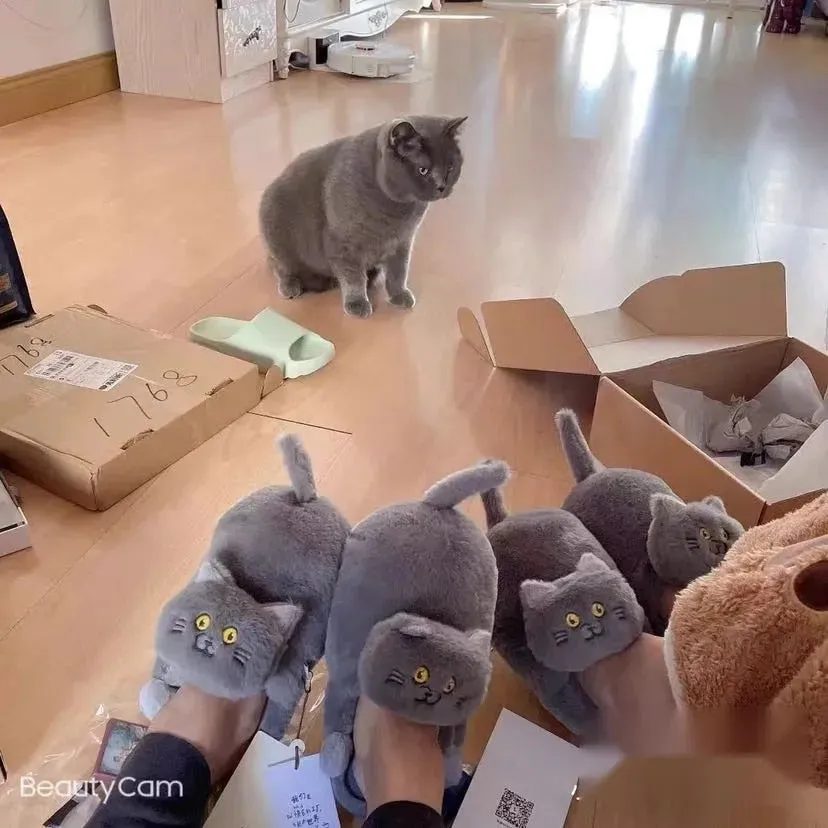 Begging Cat Slippers