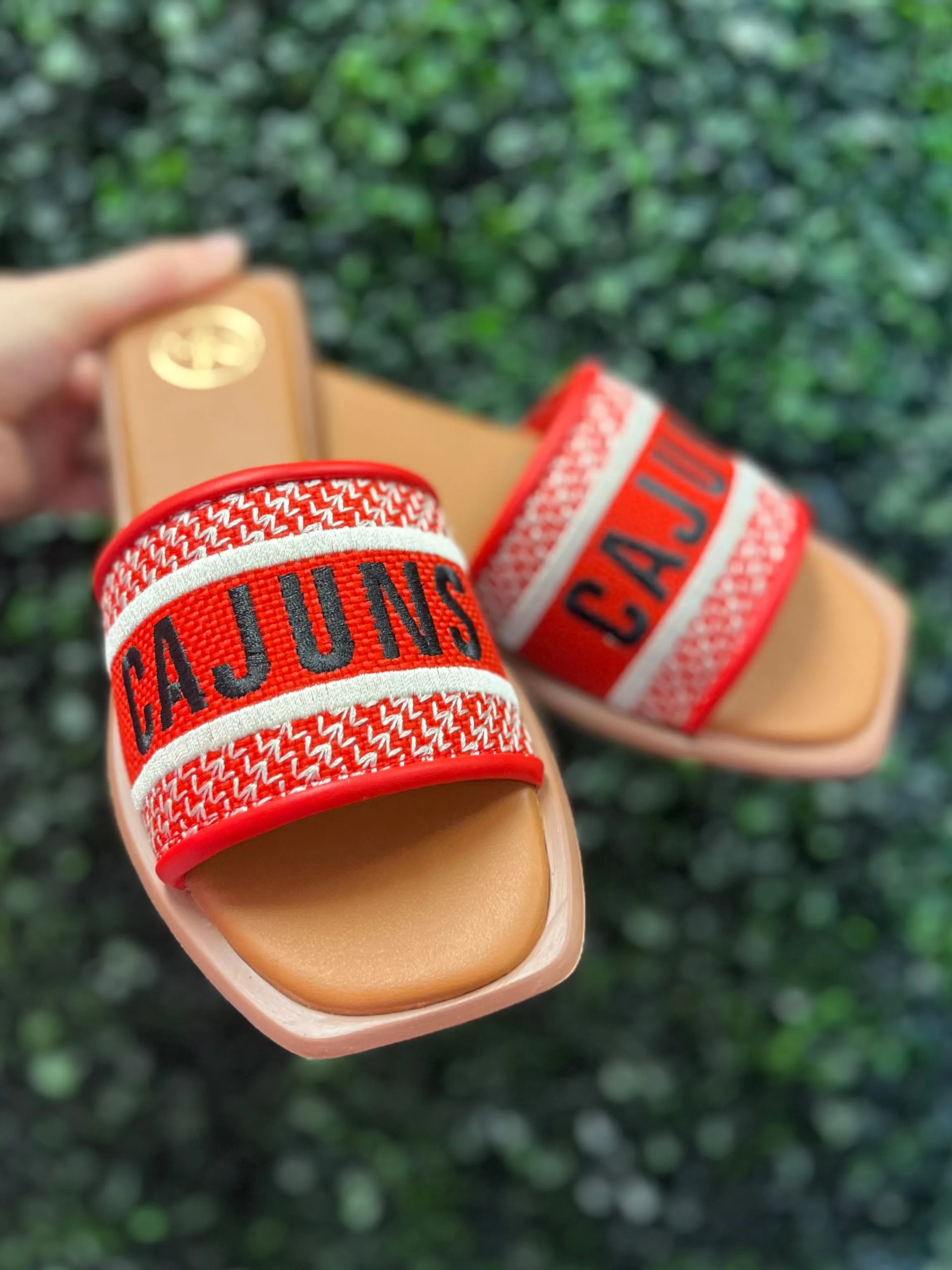 Cajuns Slides